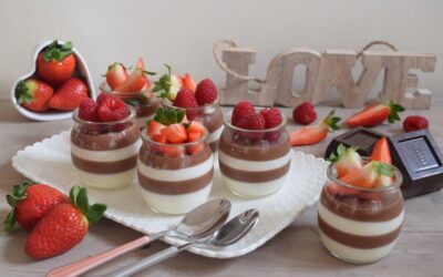 PANNA COTTA AL CIOCCOLATO E FRUTTI ROSSI PER CELIACI