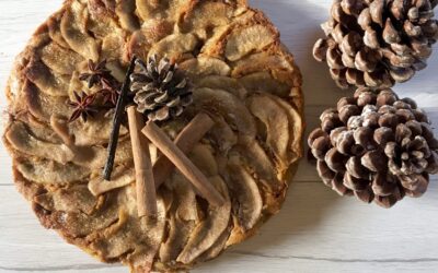 TORTA NATALINA SPEZIATA