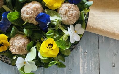 POLPETTINE VEG DI PRIMAVERA